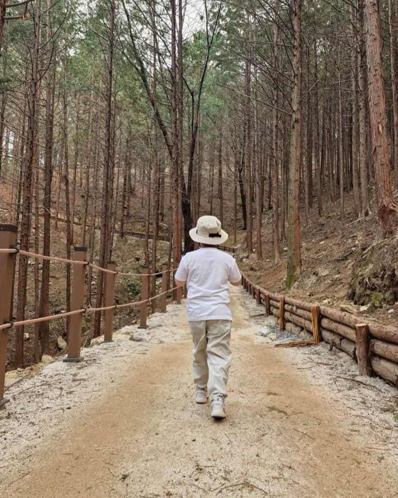Child walking along a quiet forest trail during a family trip in Korea.