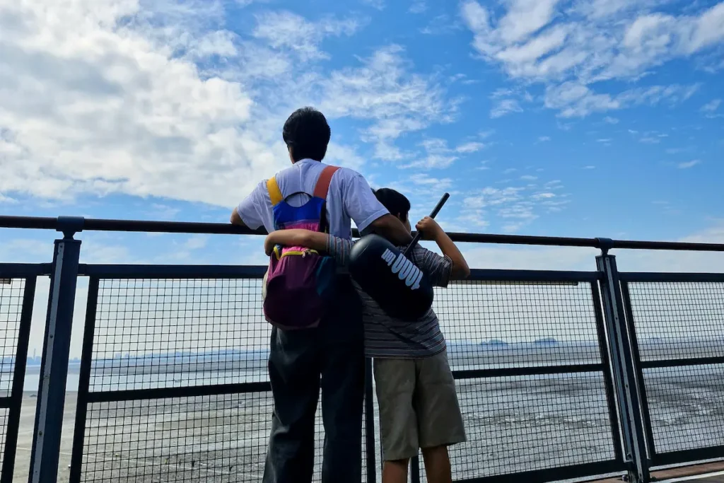A wide view of the West Sea tidal flats and coastline from Janghang Skywalk in Seocheon.