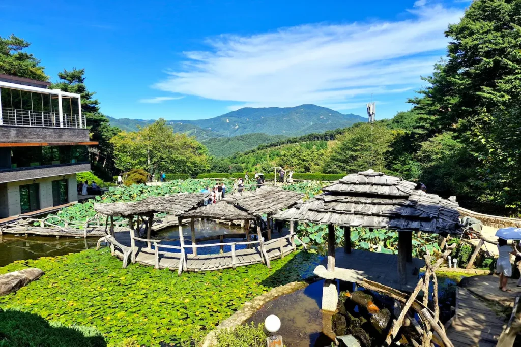 Lotus-filled pond, wooden walkways, and mountain views at Suseonsa Temple in Sancheong, Korea.